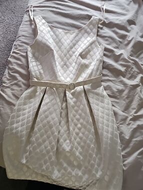 Badgley Mischka Ivory Textured Belted Fit-and-Flare Mini Dress